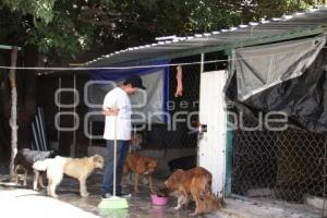 ACATLÁN . RESCATANDO HUELLITAS