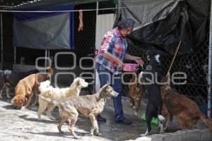 ACATLÁN . RESCATANDO HUELLITAS