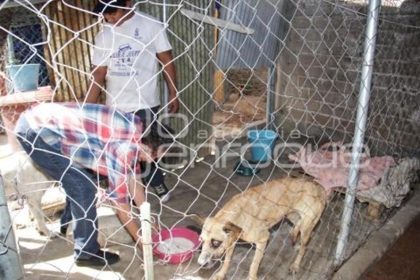 ACATLÁN . RESCATANDO HUELLITAS