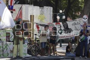 PALESTINA . PROTESTA