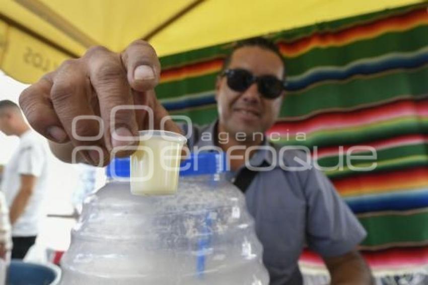 TLAXCALA . XII FESTIVAL DEL PULQUE