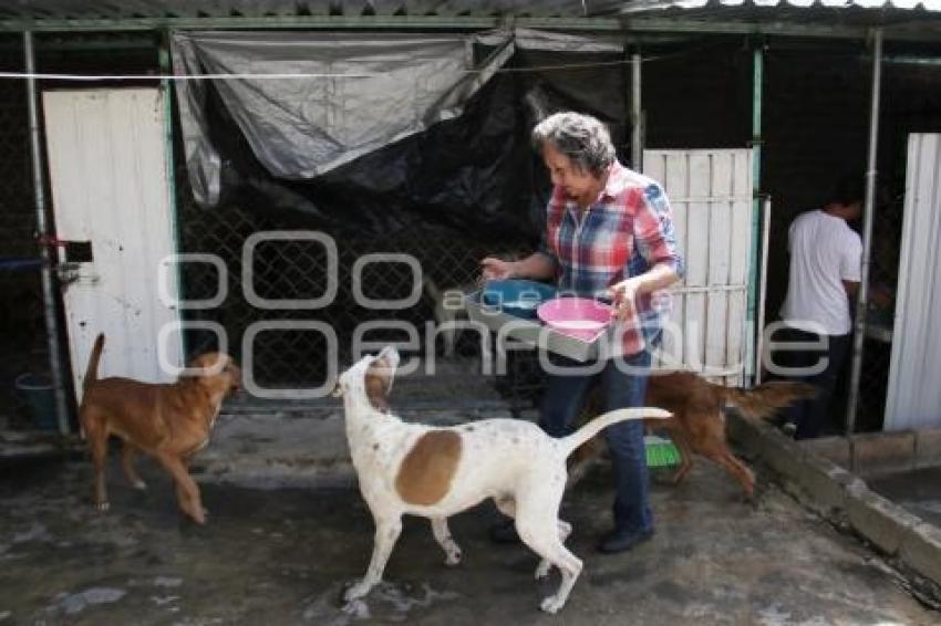 ACATLÁN . RESCATANDO HUELLITAS