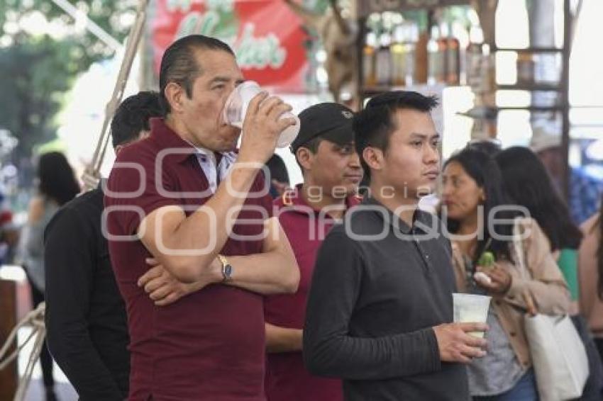 TLAXCALA . XII FESTIVAL DEL PULQUE