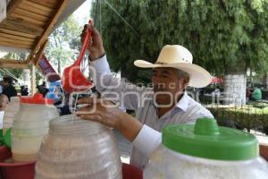 TLAXCALA . XII FESTIVAL DEL PULQUE