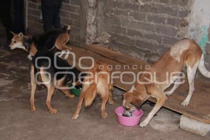 ACATLÁN . RESCATANDO HUELLITAS