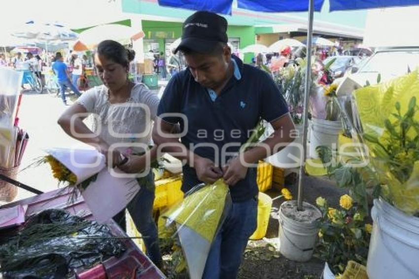 TLAXCALA . FLORES AMARILLAS