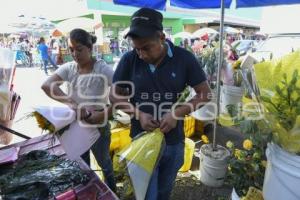 TLAXCALA . FLORES AMARILLAS