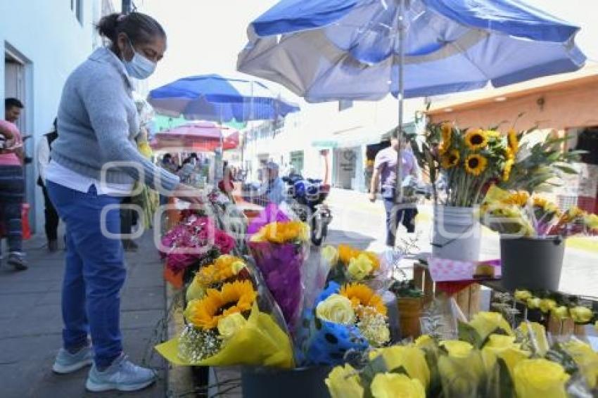 TLAXCALA . FLORES AMARILLAS