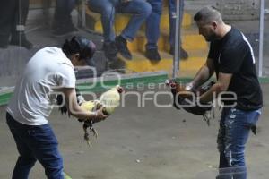 TLAXCALA . PELEAS DE GALLOS