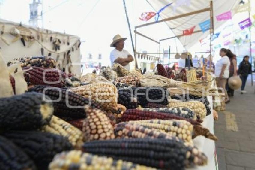 TLAXCALA . FIESTA DEL MAÍZ