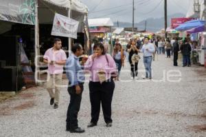 FERIA DE XICOTEPEC