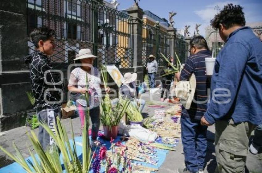 DOMINGO DE RAMOS