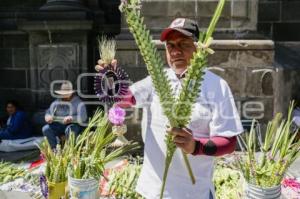 DOMINGO DE RAMOS