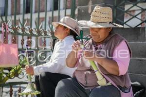 DOMINGO DE RAMOS