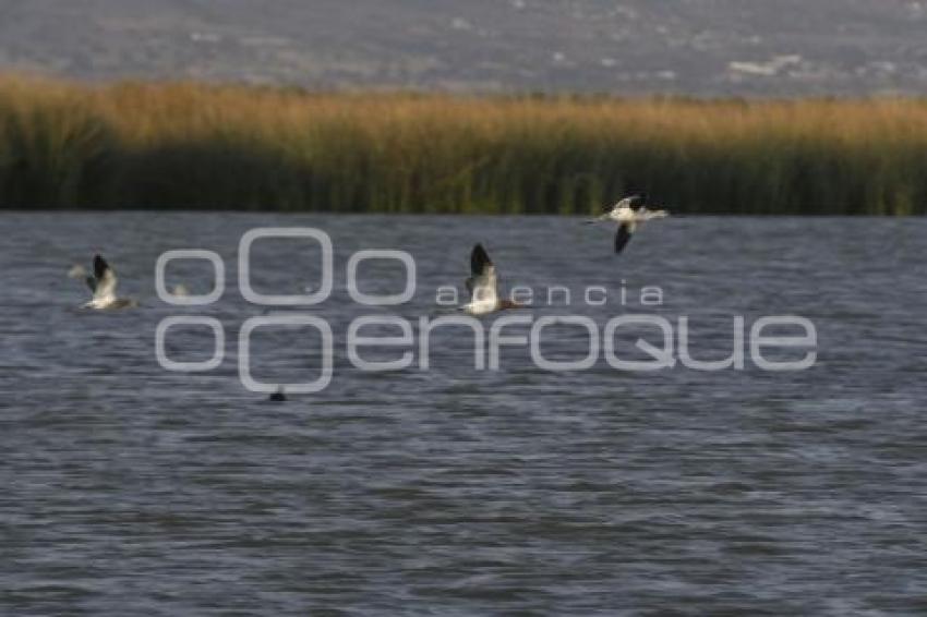 TLAXCALA . PRESA ATLANGATEPEC