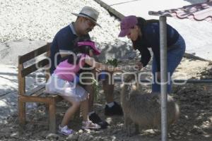 TLAXCALA . ZOOLÓGICO DEL ALTIPLANO