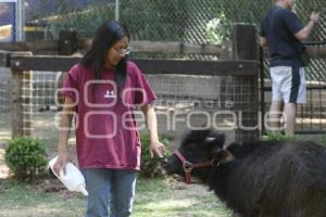 TLAXCALA . ZOOLÓGICO DEL ALTIPLANO