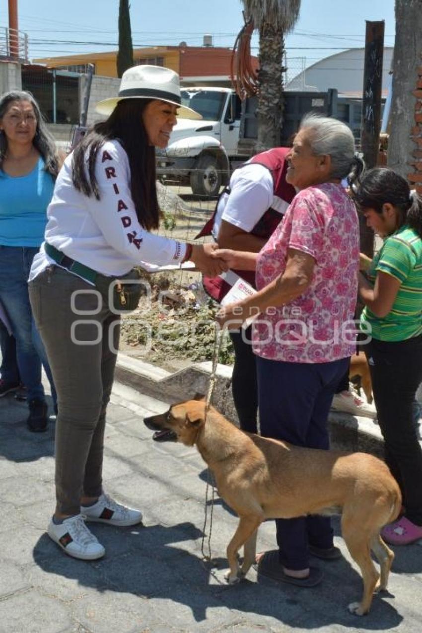 ATLIXCO . ARIADNA AYALA