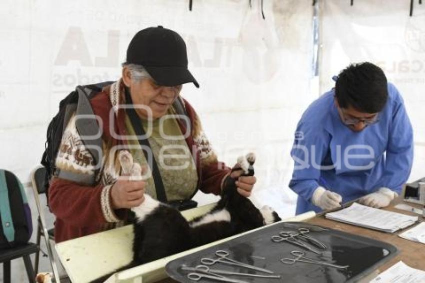 TLAXCALA . JORNADA ESTERILIZACIÓN