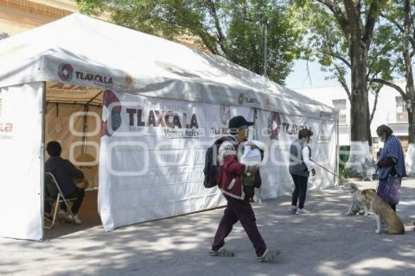 TLAXCALA . JORNADA ESTERILIZACIÓN