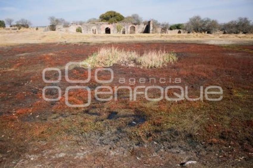 TLAXCALA . XALTOCAN . JAGÜEY