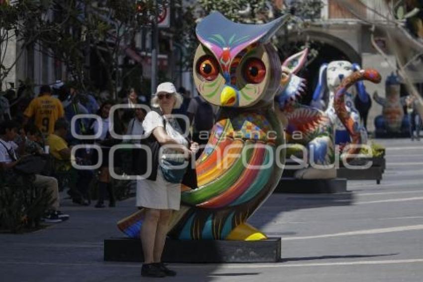 CALLE 16 DE SEPTIEMBRE . ALEBRIJES