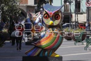 CALLE 16 DE SEPTIEMBRE . ALEBRIJES