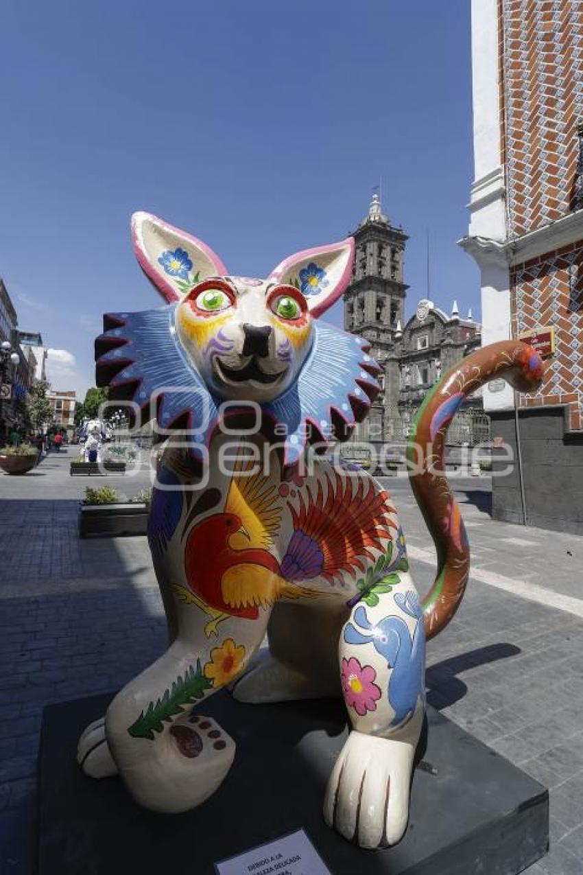 CALLE 16 DE SEPTIEMBRE . ALEBRIJES