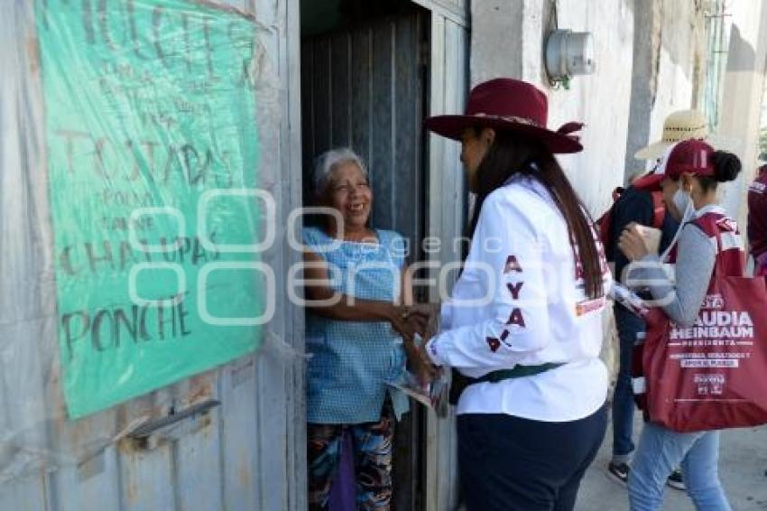 ATLIXCO . ELECCIONES