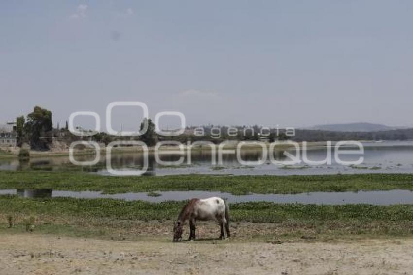 PRESA VALSEQUILLO