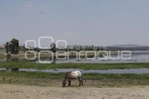 PRESA VALSEQUILLO