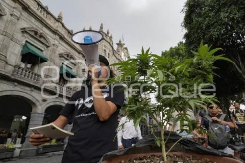 DÍA MUNDIAL DEL CANNABIS