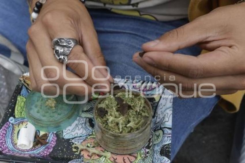 DÍA MUNDIAL DEL CANNABIS