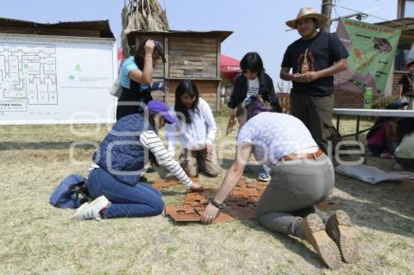 TLAXCALA . FESTILAX DE ANFIBIOS