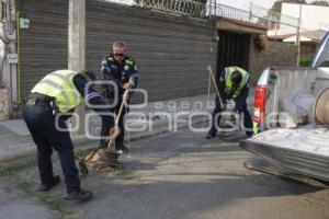 FERIA DE PUEBLA 2024 . OPERATIVO ESTACIONAMIENTO