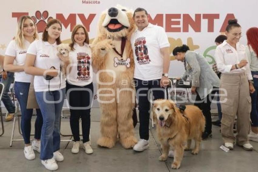 SIGAMOS HACIENDO HISTORIA . ALEJANDRO ARMENTA