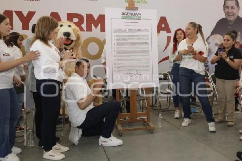 SIGAMOS HACIENDO HISTORIA . ALEJANDRO ARMENTA