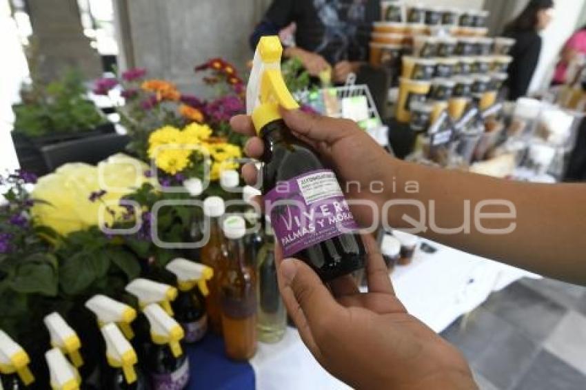 TLAXCALA . FESTIVAL ÁRBOLES EMBLEMÁTICOS 