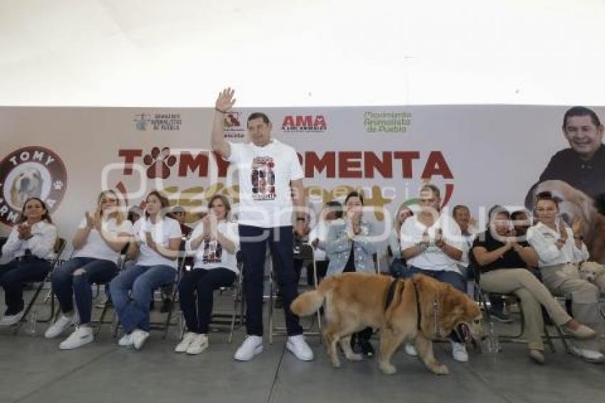 SIGAMOS HACIENDO HISTORIA . ALEJANDRO ARMENTA