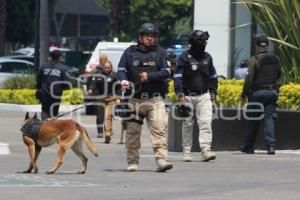 MOVILIZACIÓN POLICIACA