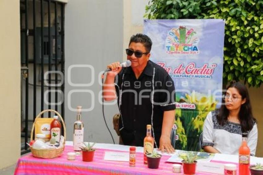 FERIA DE LA TETECHA