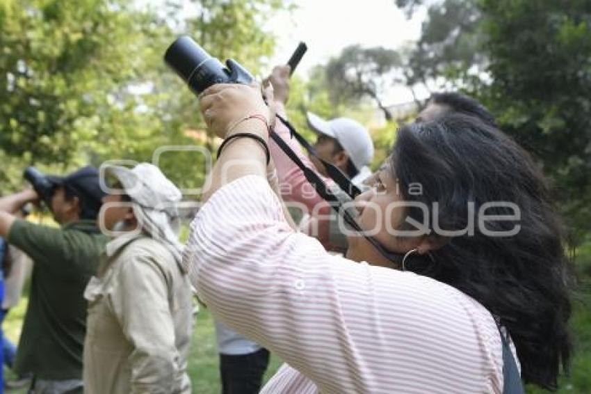 TLAXCALA . OBSERVATORIO AVES MIGRATORIAS