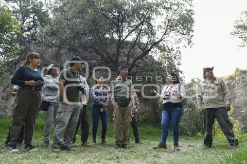 TLAXCALA . OBSERVATORIO AVES MIGRATORIAS