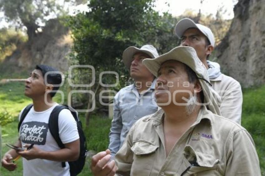 TLAXCALA . OBSERVATORIO AVES MIGRATORIAS