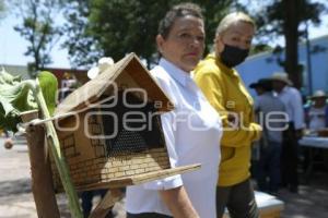 TLAXCALA . FESTIVAL DE LA ABEJA