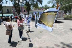 TLAXCALA . FESTIVAL DE LA ABEJA