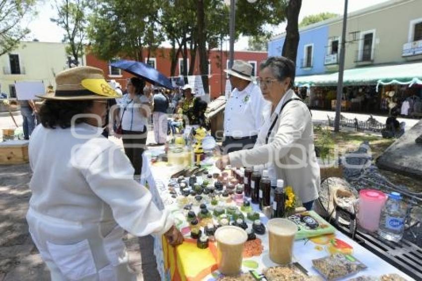 TLAXCALA . FESTIVAL DE LA ABEJA