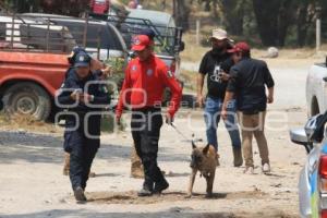 RESTOS ÓSEOS HUMANOS