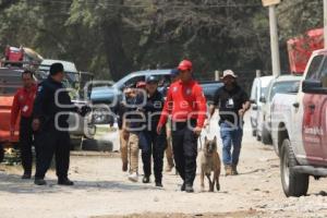 RESTOS ÓSEOS HUMANOS