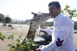 MEJOR RUMBO PARA PUEBLA . AGENDA ANIMALISTA